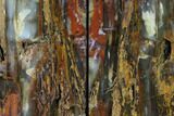 Tall, Petrified Wood Rip-Cut Bookends - Nevada #166084-2
